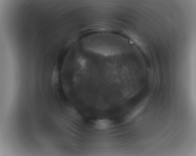 X0000113950269200910021511