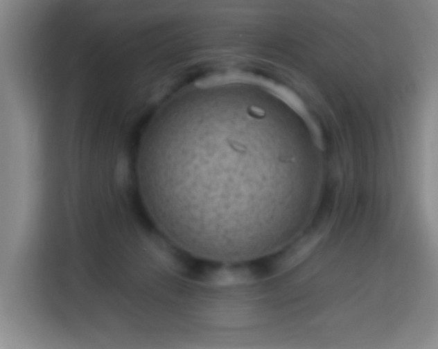 X0000113950270200910021512