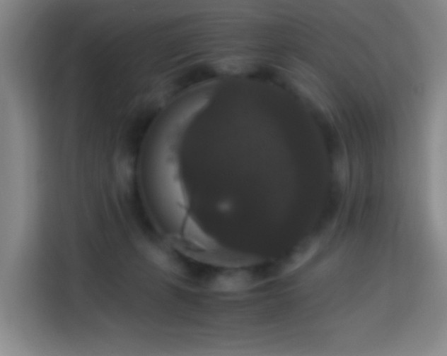 X0000113950271200910021512