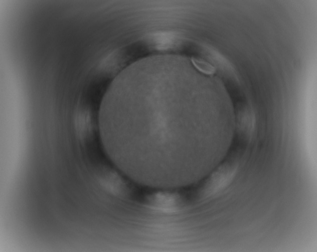 X0000113950272200910021512