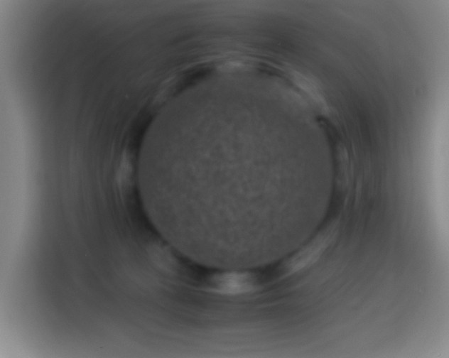 X0000113950273200910021512