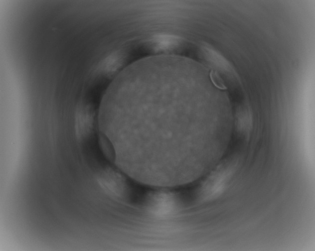 X0000113950276200910021512