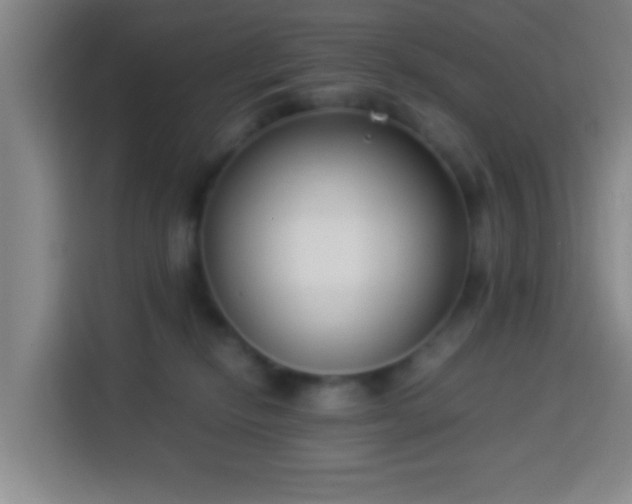 X0000113950278200910021512