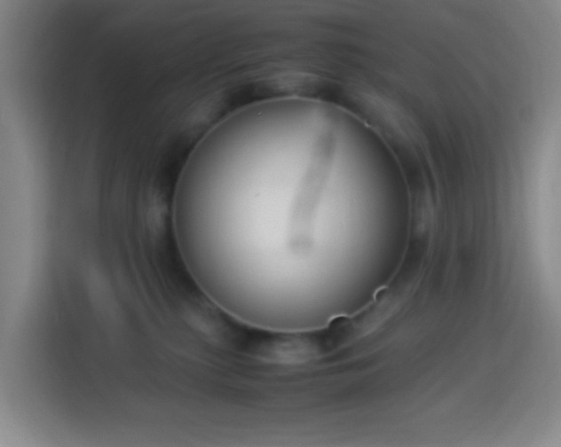 X0000113950279200910021512