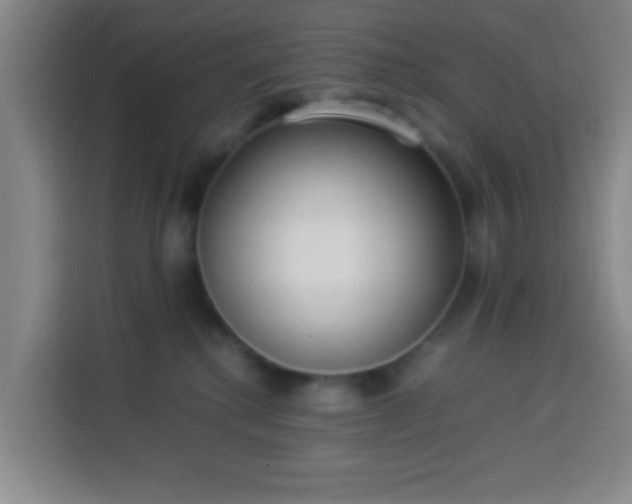 X0000113950280200910021512