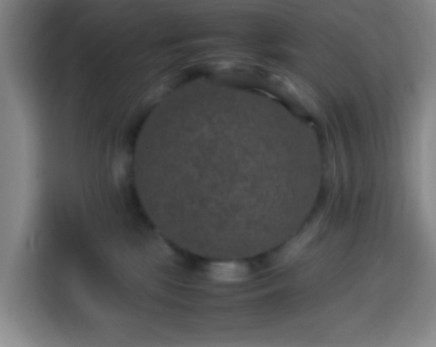 X0000113950281200910021512