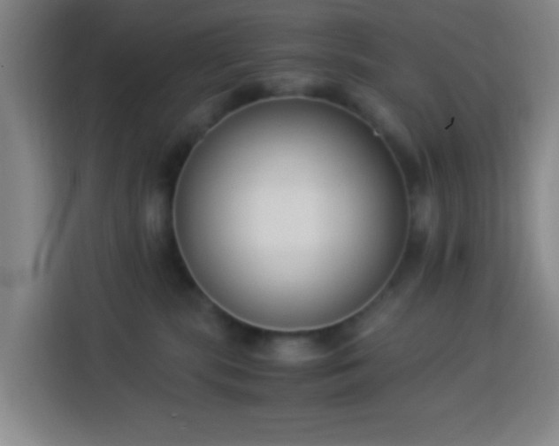 X0000113950283200910021512