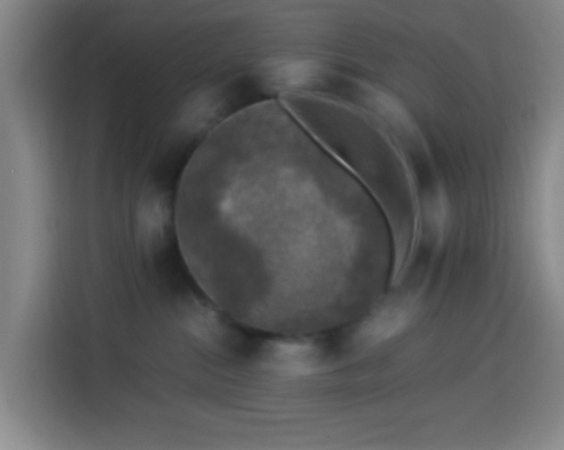 X0000113950284200910021512