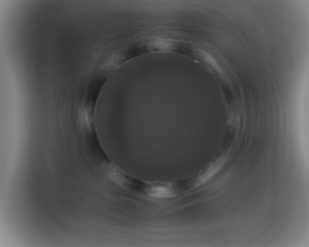 X0000113950285200910021512