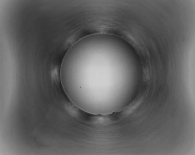 X0000113950286200910021512