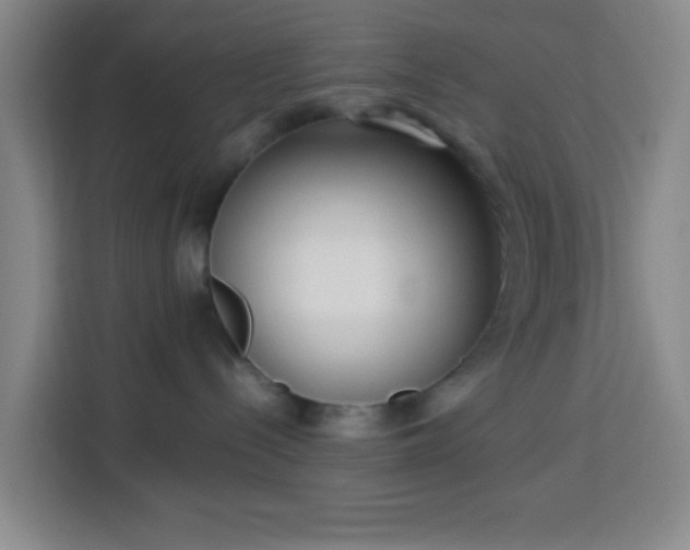 X0000113950288200910021512