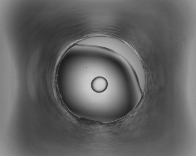X0000113950289200910021511