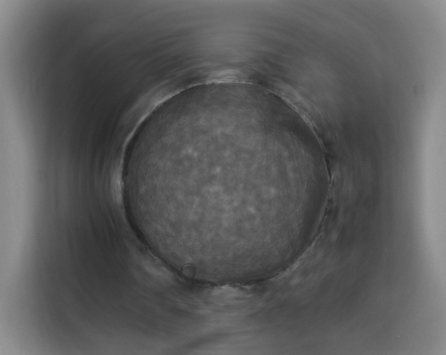 X0000113950290200910021511
