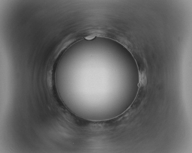 X0000113950291200910021511