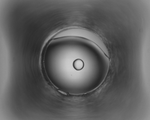 X0000113950292200910021511