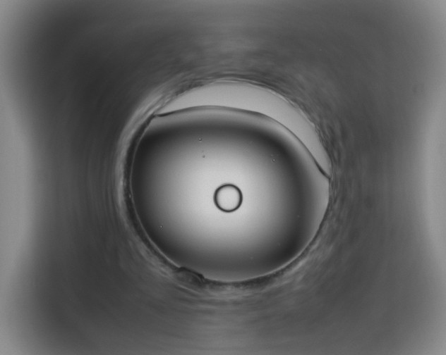 X0000113950293200910021511