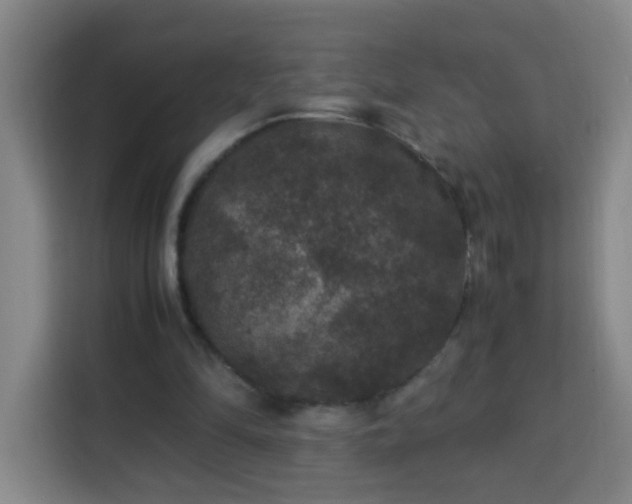 X0000113950294200910021511