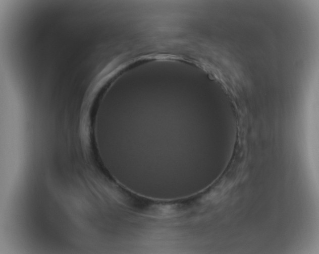 X0000113950295200910021511