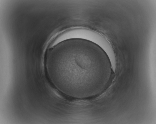 X0000113950296200910021511