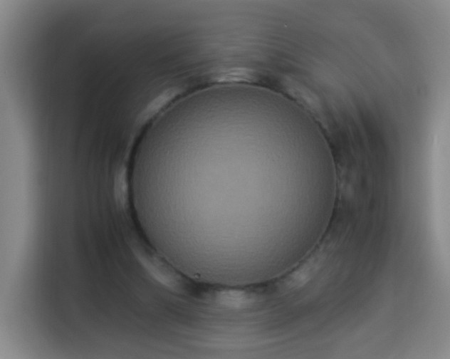 X0000113950298200910021511