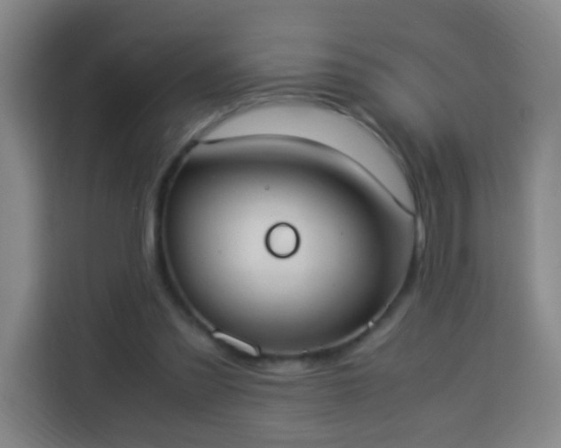 X0000113950301200910021511