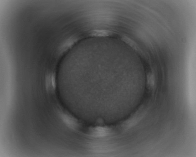 X0000113950302200910021511