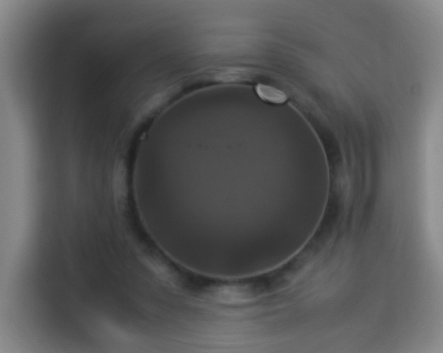 X0000113950303200910021511