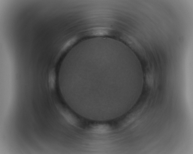 X0000113950304200910021511