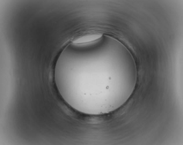 X0000113950305200910021511
