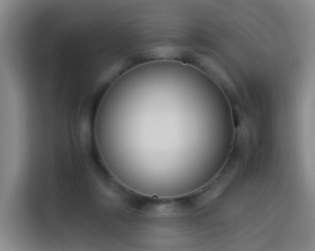 X0000113950306200910021511