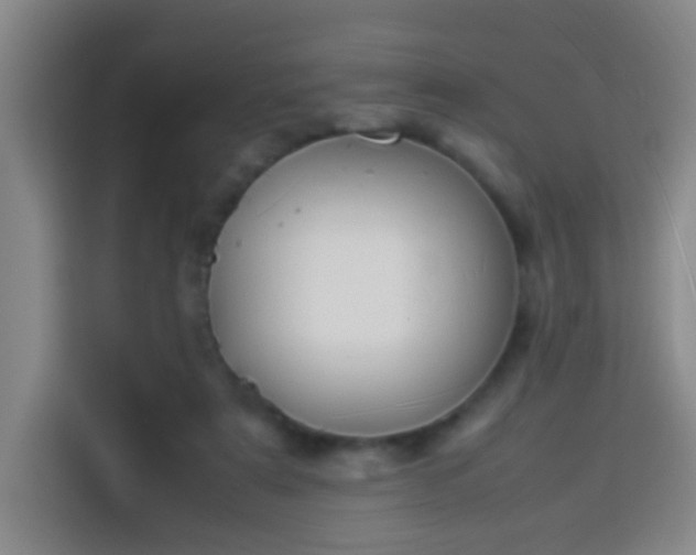 X0000113950307200910021511