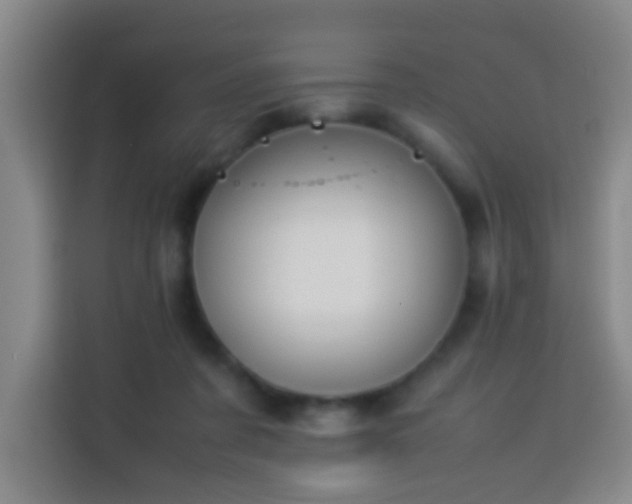 X0000113950311200910021511