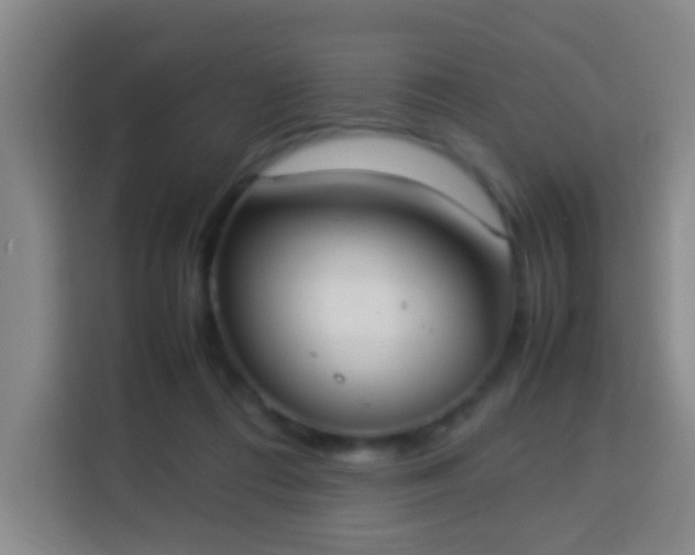 X0000113950312200910021511
