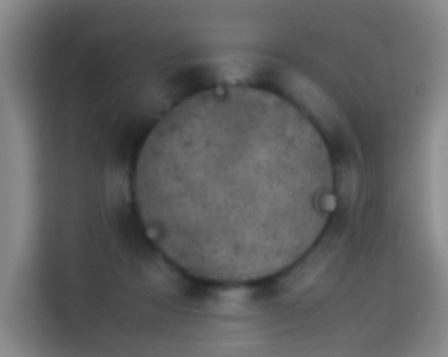 X0000113950313200910021511