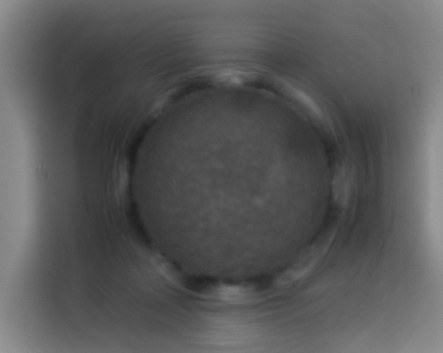 X0000113950314200910021511