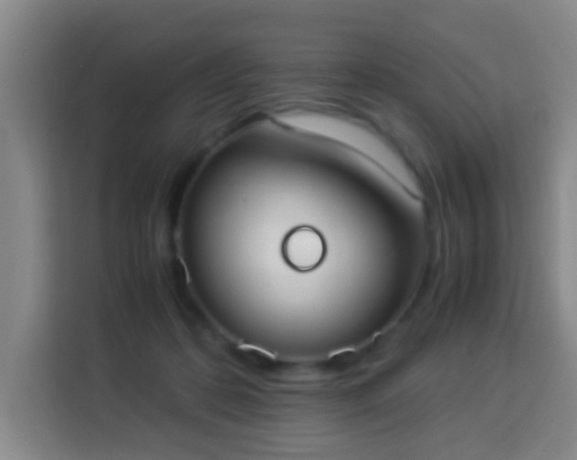 X0000113950316200910021511