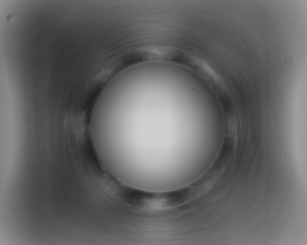 X0000113950318200910021511