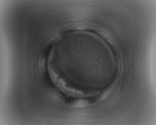 X0000113950319200910021511