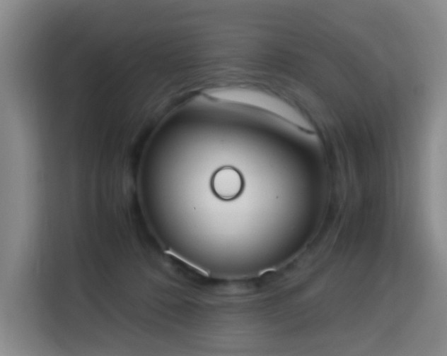 X0000113950320200910021511