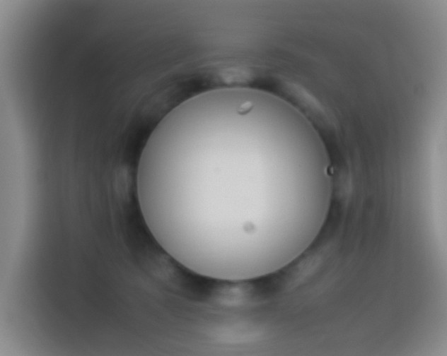 X0000113950321200910021511