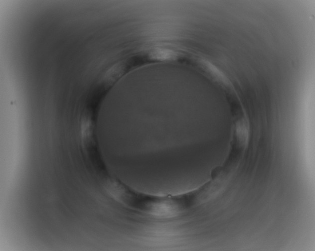 X0000113950322200910021511