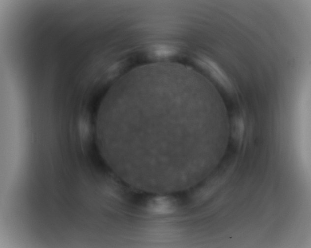 X0000113950324200910021511