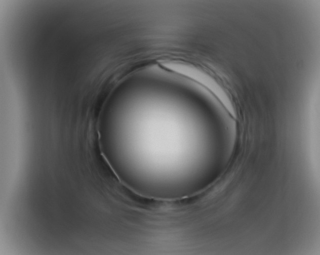 X0000113950325200910021511