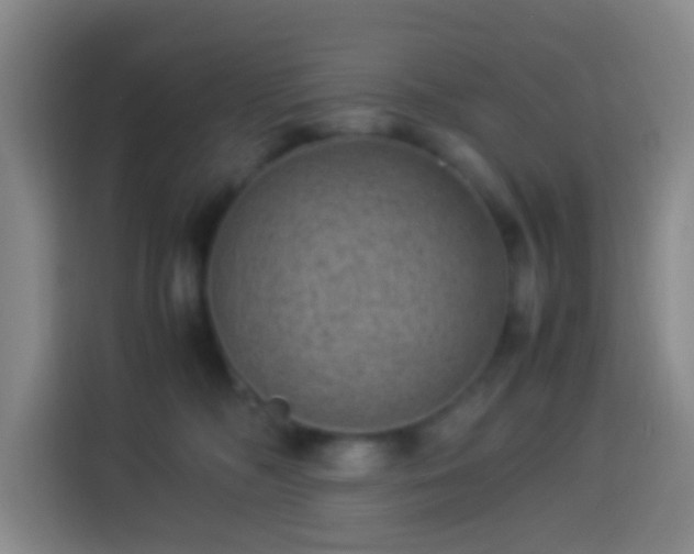 X0000113950326200910021511