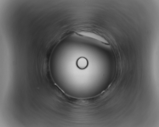 X0000113950328200910021511