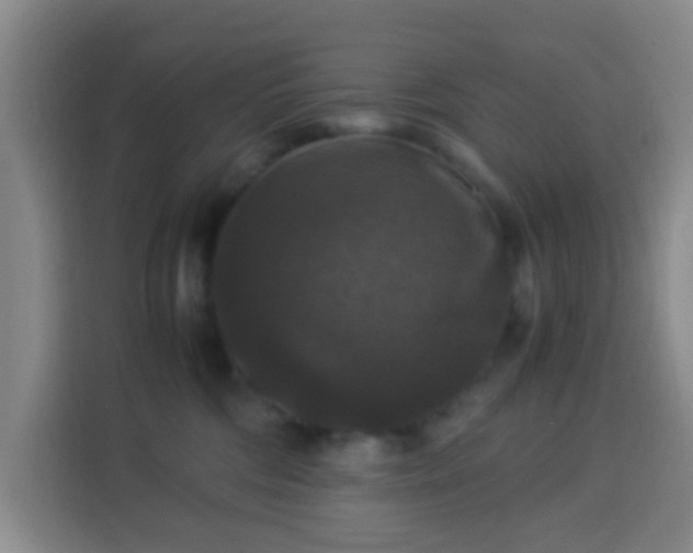 X0000113950330200910021511