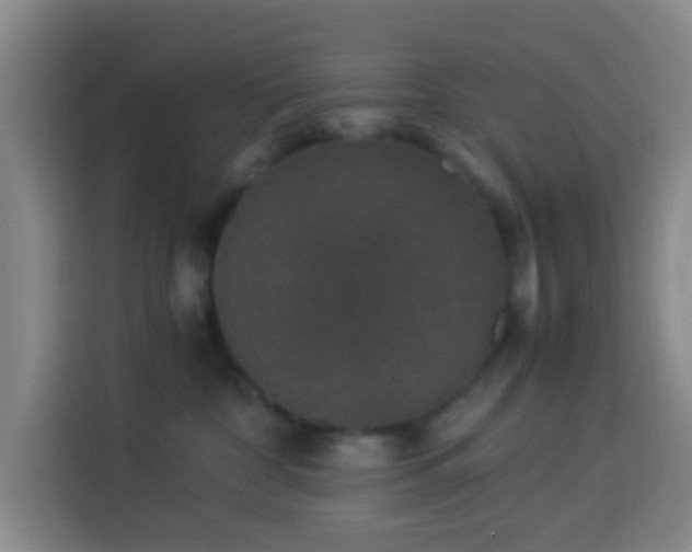 X0000113950332200910021511
