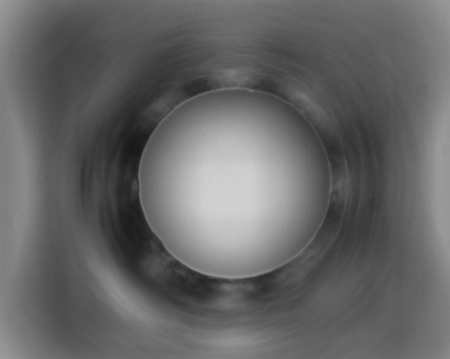 X0000113950334200910021511