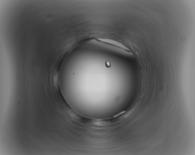 X0000113950336200910021511
