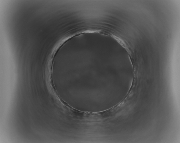X0000113950337200910021510